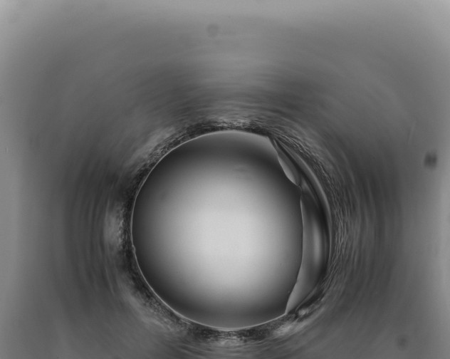 X0000090760600200707271508