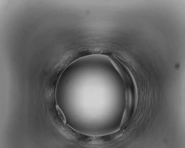 X0000090760601200707271508