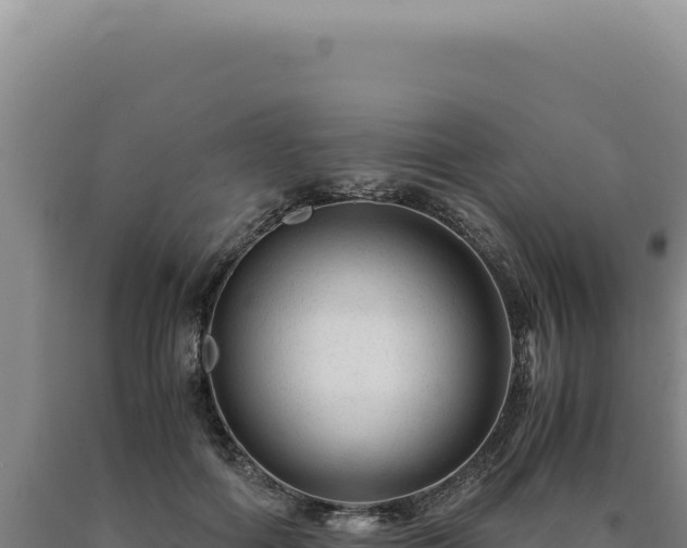 X0000090760602200707271508