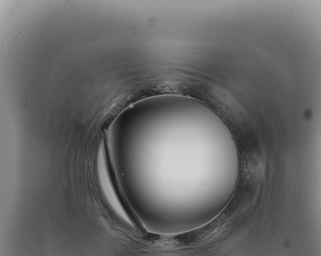 X0000090760603200707271508