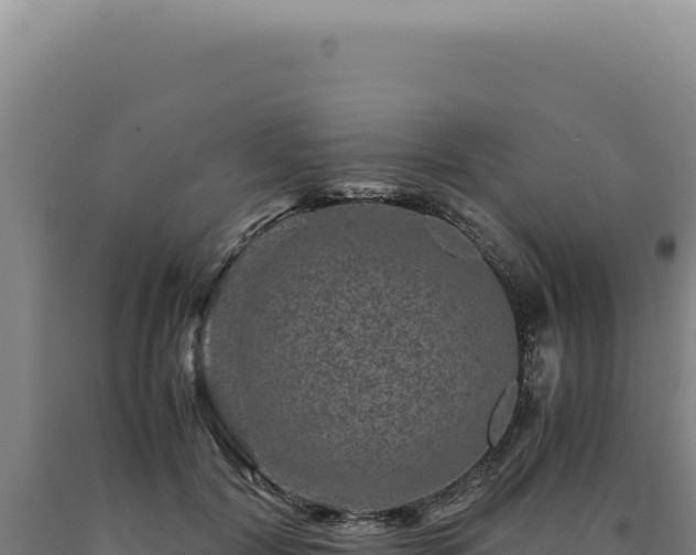 X0000090760604200707271508