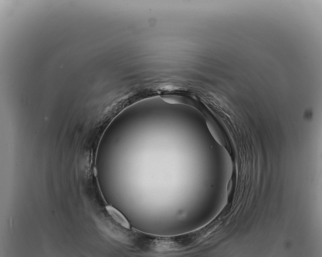 X0000090760605200707271508