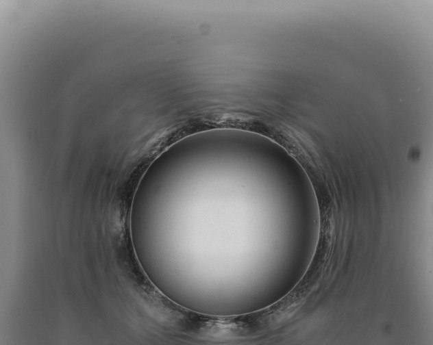 X0000090760607200707271508