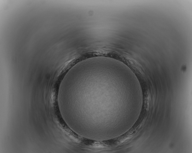 X0000090760608200707271508