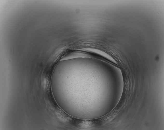 X0000090760609200707271508