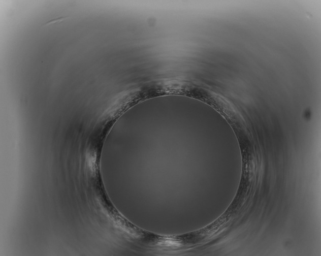 X0000090760610200707271508