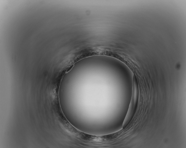 X0000090760611200707271508