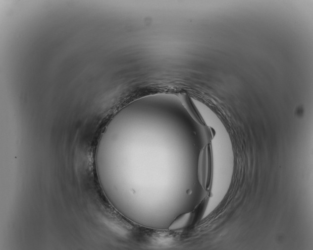 X0000090760613200707271508