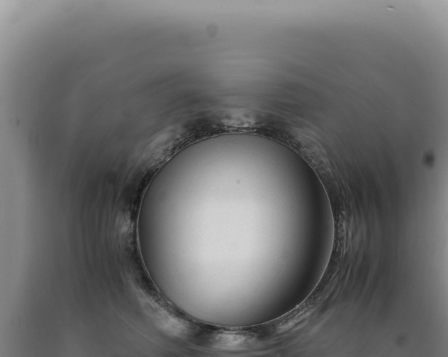 X0000090760614200707271507