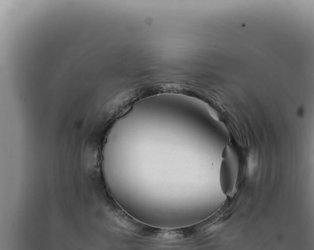 X0000090760619200707271507