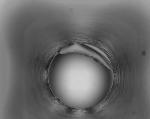 X0000090760621200707271507