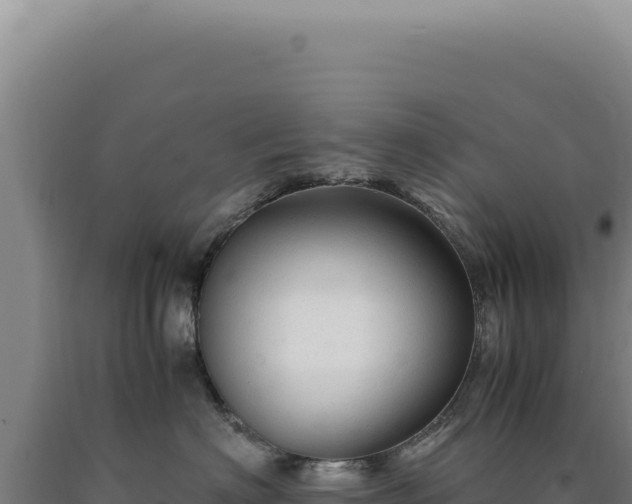 X0000090760622200707271507