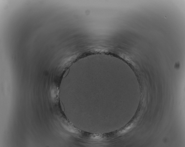 X0000090760624200707271507