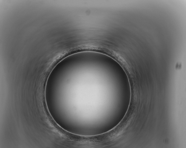 X0000090760625200707271507