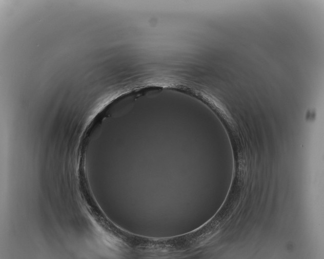 X0000090760626200707271507