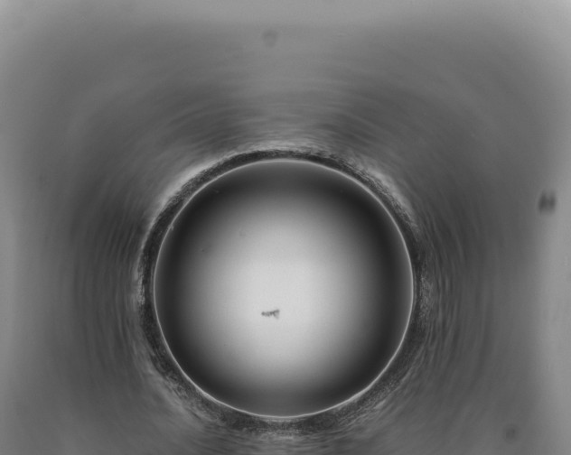 X0000090760628200707271507