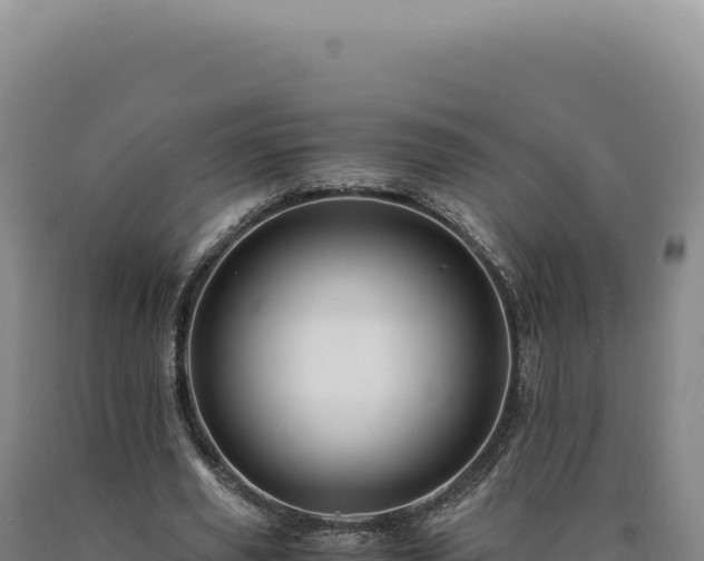 X0000090760629200707271507