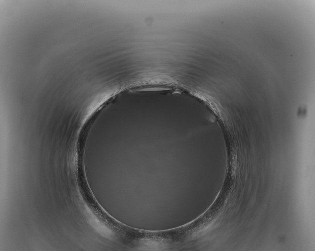 X0000090760630200707271507