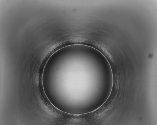 X0000090760631200707271507