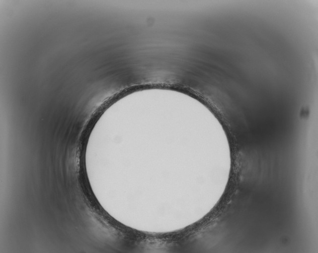 X0000090760632200707271507