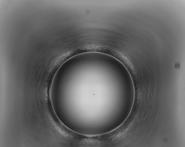 X0000090760633200707271507