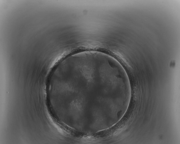 X0000090760634200707271507