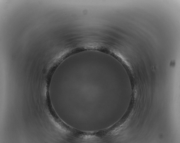 X0000090760637200707271507