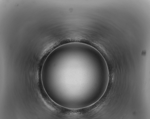 X0000090760638200707271507