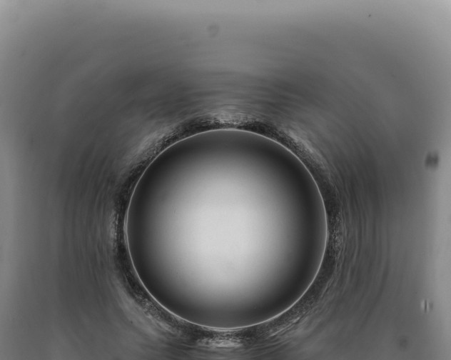 X0000090760639200707271507