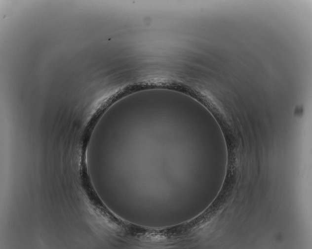 X0000090760640200707271507