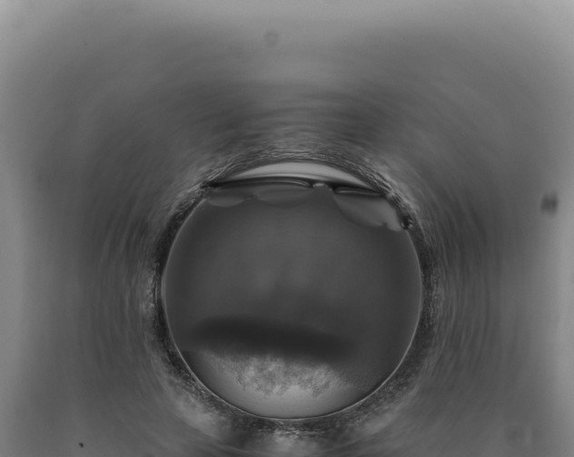 X0000090760641200707271507