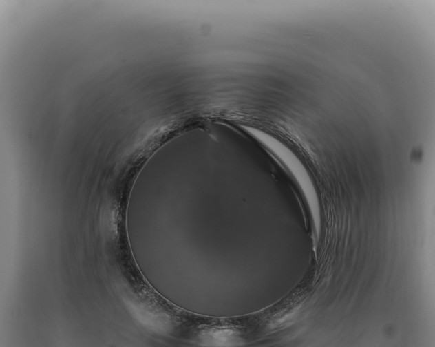 X0000090760643200707271507