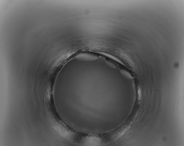 X0000090760644200707271507