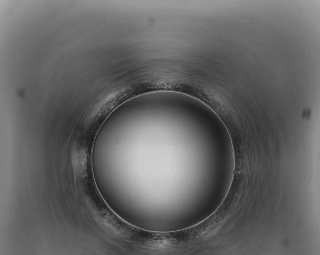 X0000090760646200707271507