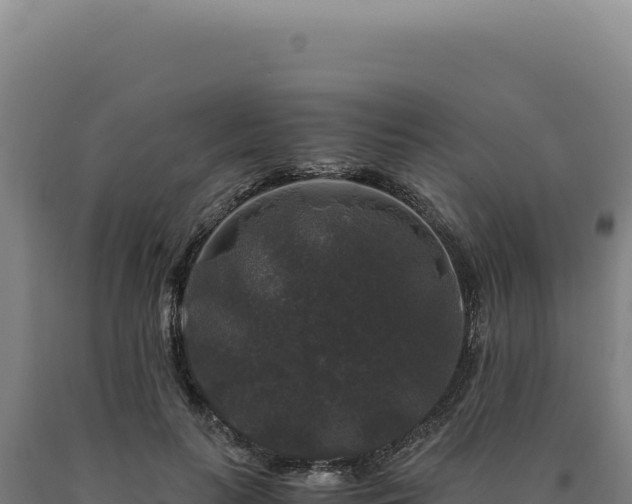 X0000090760647200707271507