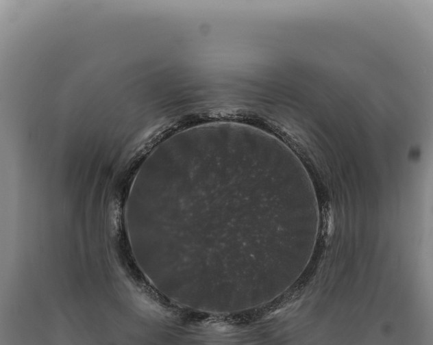 X0000090760648200707271507