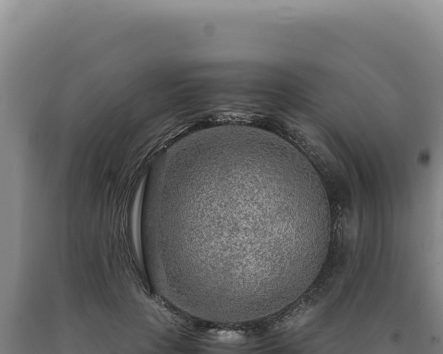 X0000090760649200707271507