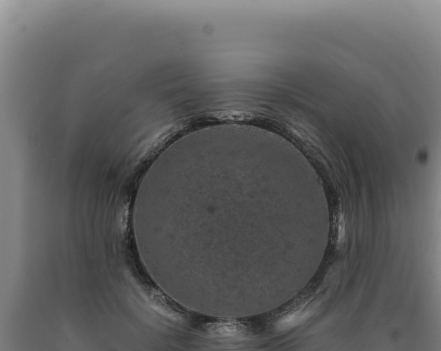 X0000090760652200707271507