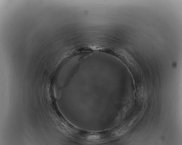 X0000090760653200707271507