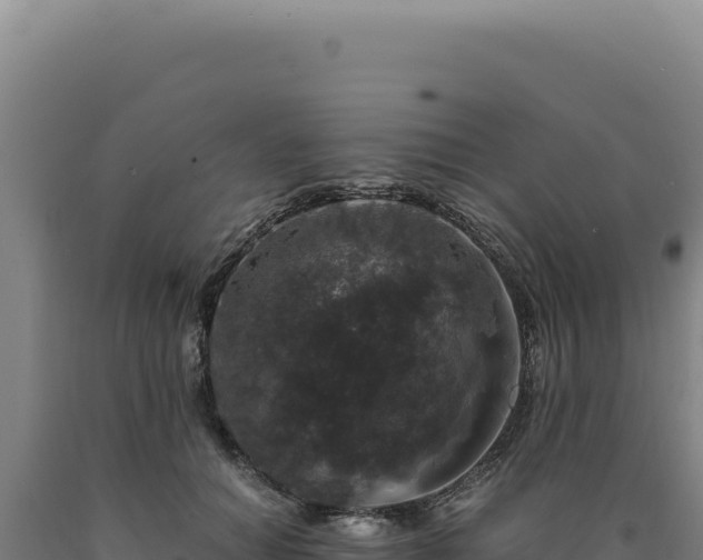 X0000090760654200707271507