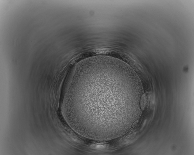 X0000090760655200707271507