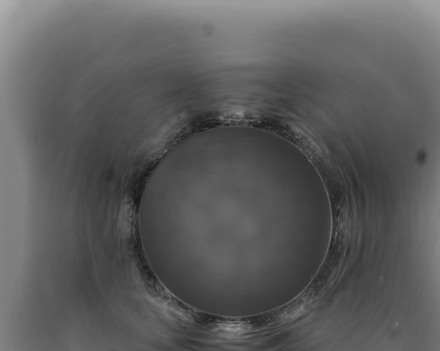 X0000090760659200707271507