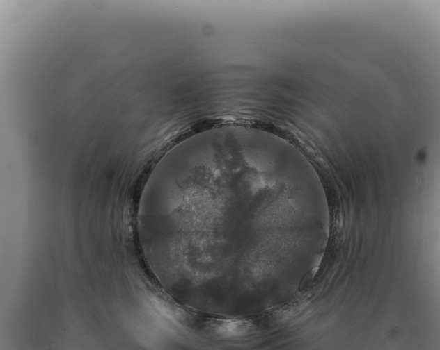 X0000090760663200707271507