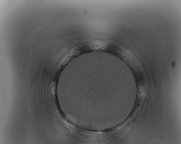 X0000090760664200707271507