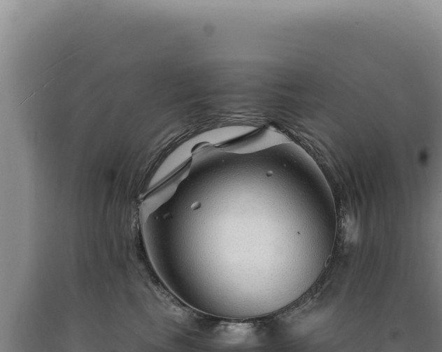 X0000090760665200707271507