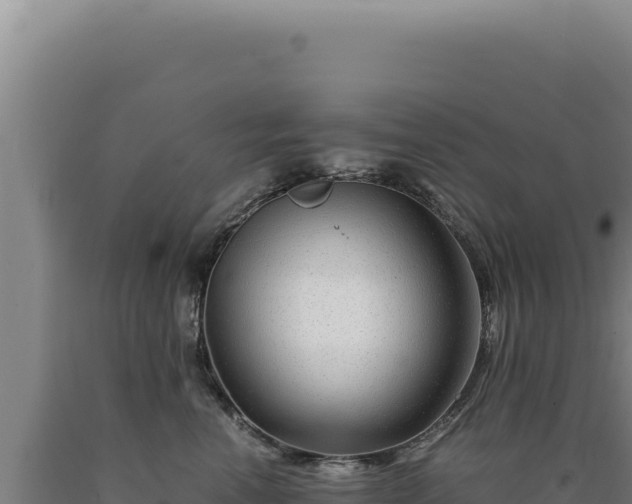 X0000090760666200707271507