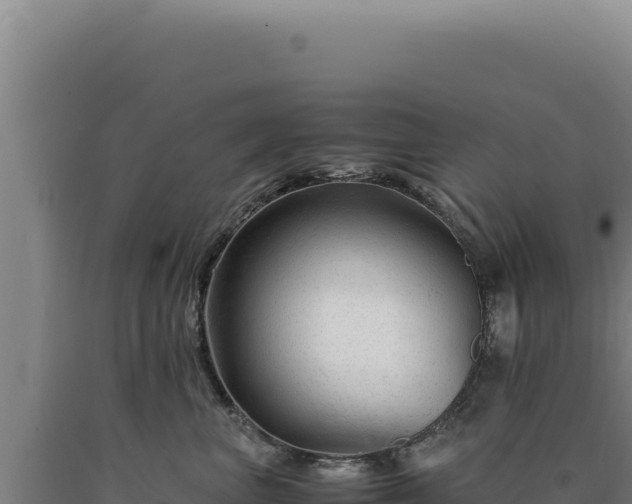 X0000090760667200707271507