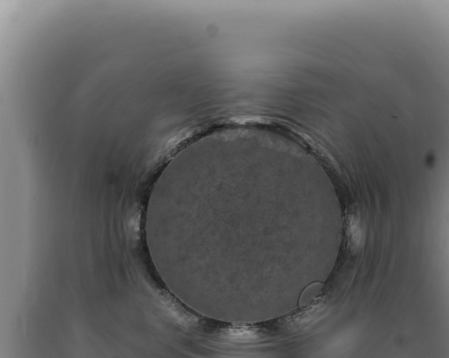 X0000090760668200707271507