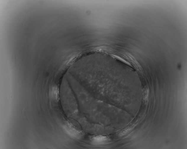 X0000090760669200707271507