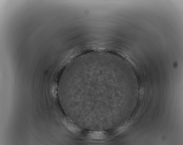 X0000090760671200707271507